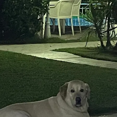 Belka Golf Dublex Apartament *